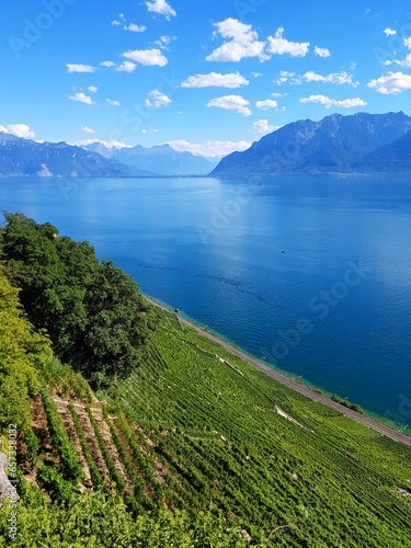 Lavaux, vignobles en terrasse, Suisse photo