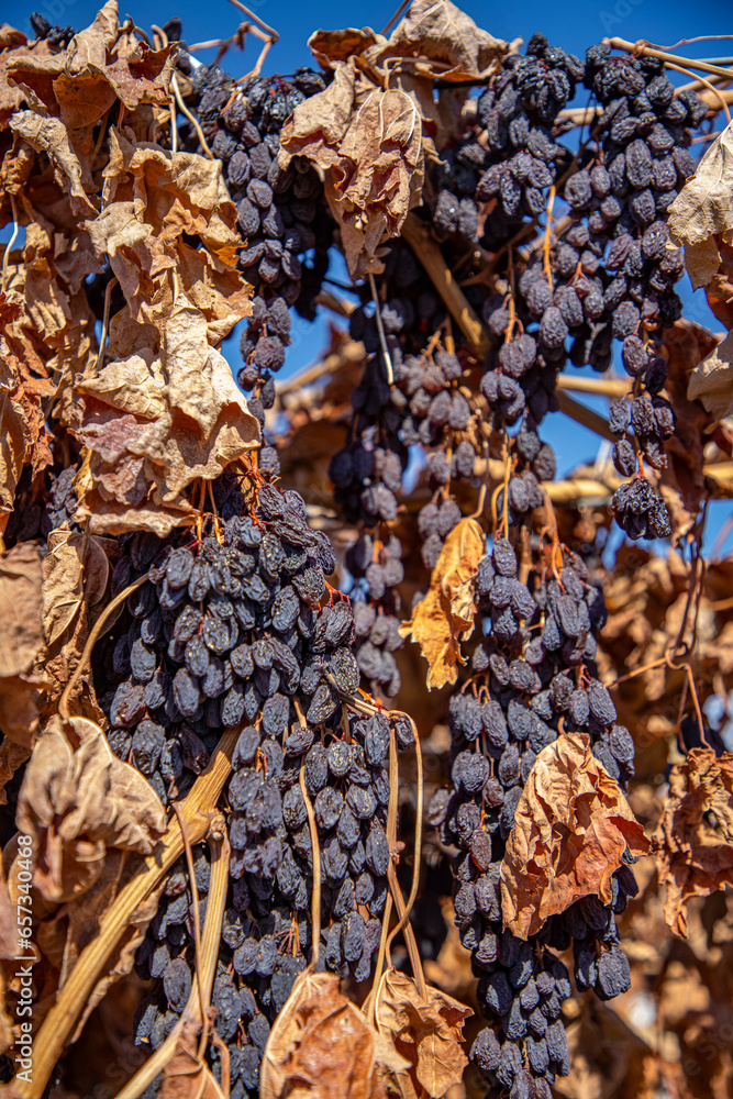 Vine ripened raisins Vine ripened raisins