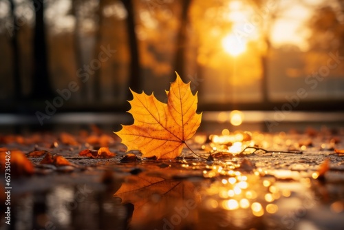 Fallen autumn leaves. Background with selective focus and copy space