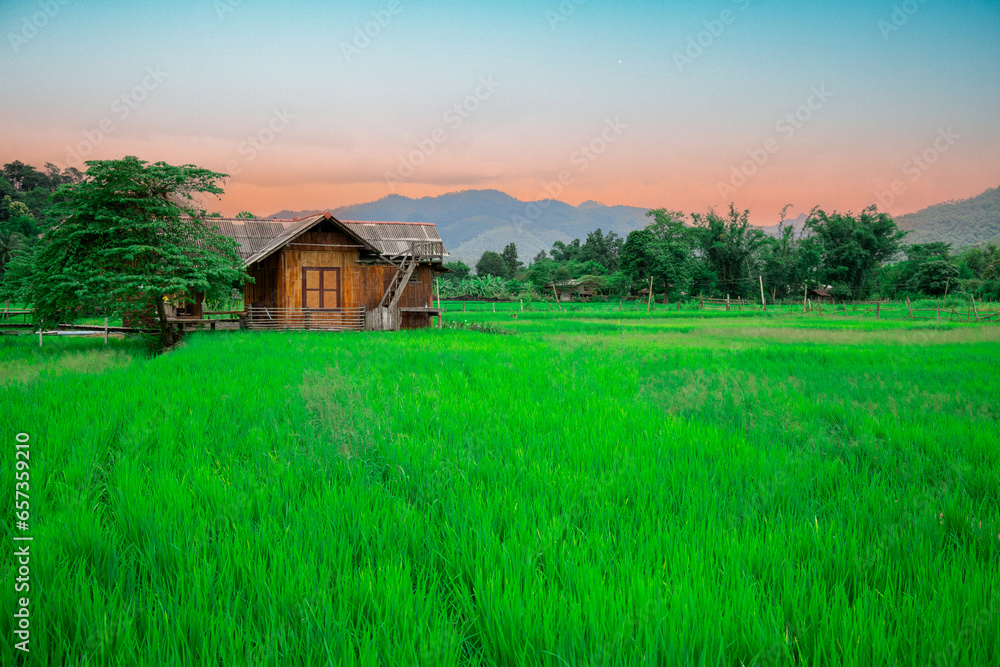 beautiful morning landscape Homestay in the forest, Ban Mai Phai, Chiang Dao District, Chiang Mai Province, Thailand.