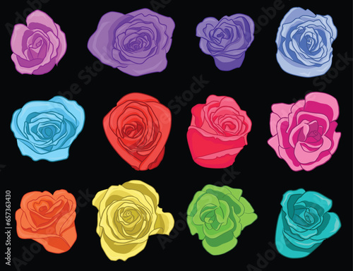 Colorful roses on black background