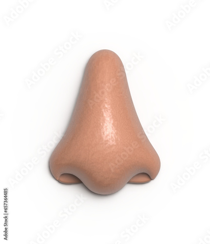 3D nose