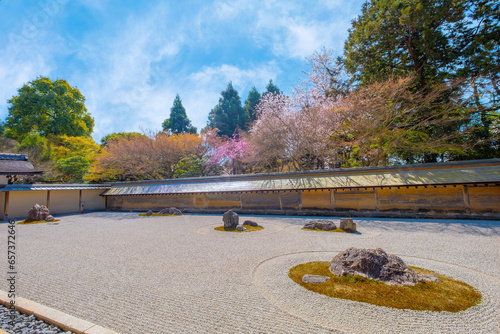 Kyoto, Japan - March 29 2023: Ryoanji Temple is the site of Japan's most famous rock garden and beautiful cherry blossom in spring time