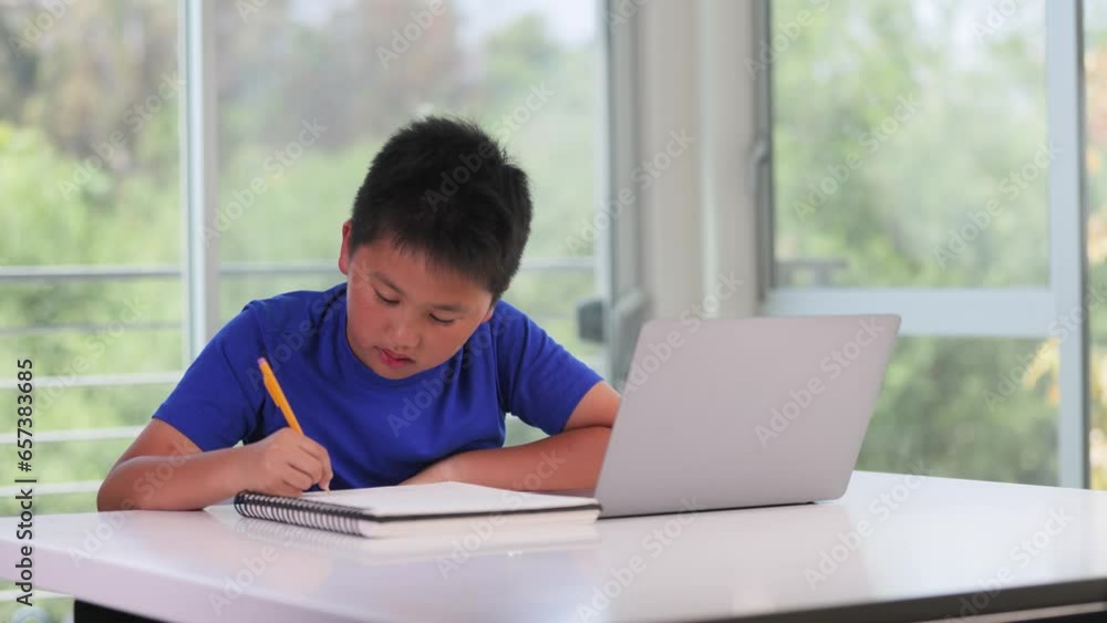 12 year old boy working on his school homework. 12 year old boy working on his school homework.