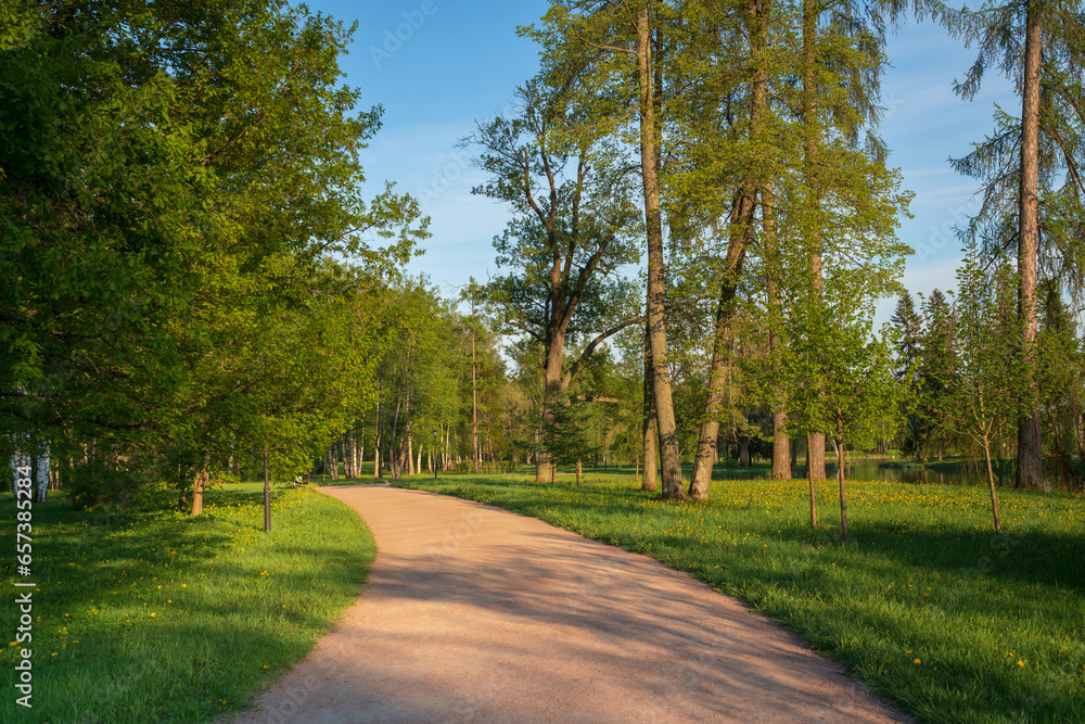 View of the alley in Gatchinsky Park on a sunny summer day, Gatchina, Leningrad region, Russia - obrazy, fototapety, plakaty 