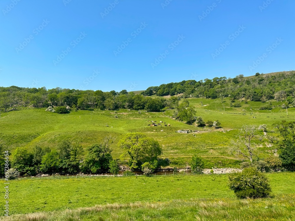 Fototapeta premium Rural landscape on Stubbing Lane, with extensive fields, wild plants, hills and trees near, Deepdale, Buckden, UK