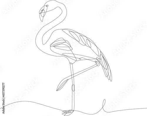 vector flamenco or flamingo line art