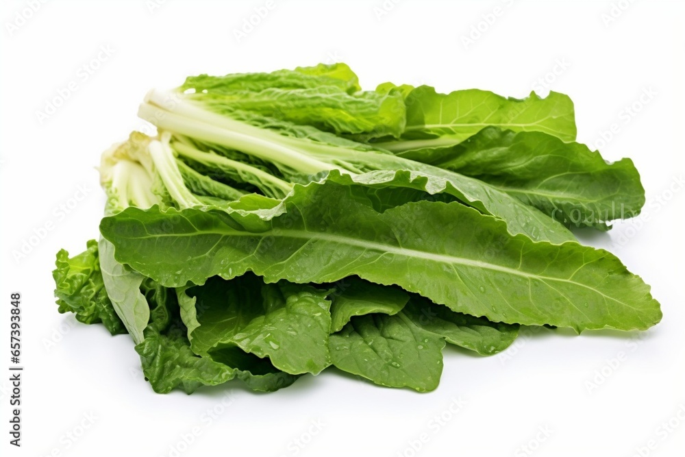 Generative AI : Close up lactuca sativa leaves isolated on white background. Generative AI : Close up lactuca sativa leaves isolated on white background.