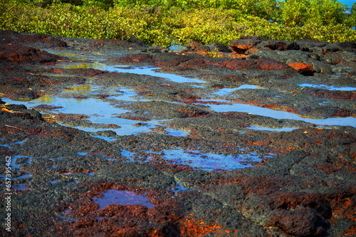 Red Iron Colored Tidal Pools of the Australian Top End