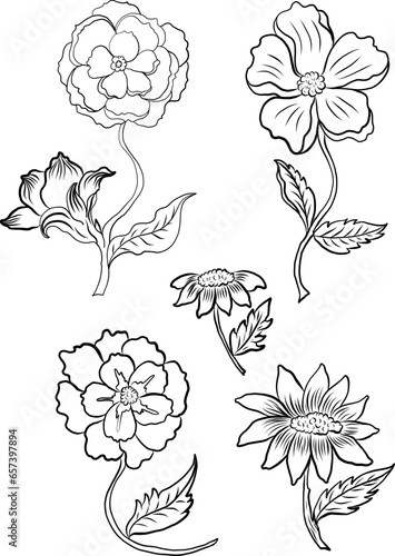 Set of flower vector for painting on background.Peony for printing on curtain.Traditional Asian floral illustration for embroidery style.Rose flower.Beautiful line art for summer.