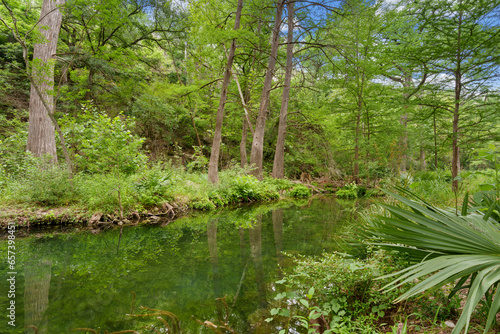 hill country river in texas