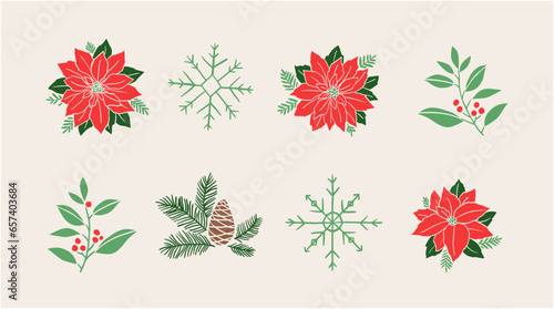 Holiday season winter flowers botanical vector illustration, Hand-drawn style.