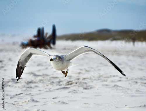 beach citizen