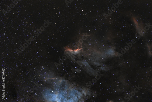 nebulapelican