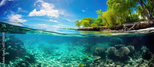 John Pennekamp Coral Reef State Park is a park in Florida situated on Key Largo With copyspace for text photo
