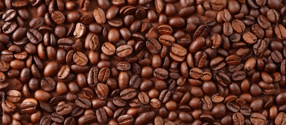 Roasted coffee beans can serve as a backdrop and add texture isolated pastel background Copy space Roasted coffee beans can serve as a backdrop and add texture isolated pastel background Copy space