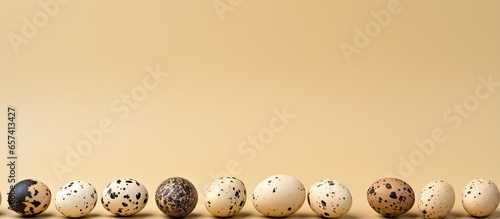 quail eggs against isolated pastel background Copy space