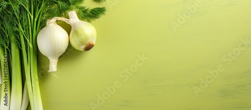 copy space image on isolated background with fennel photo