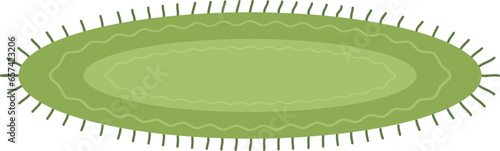 Oval Rug Illustration