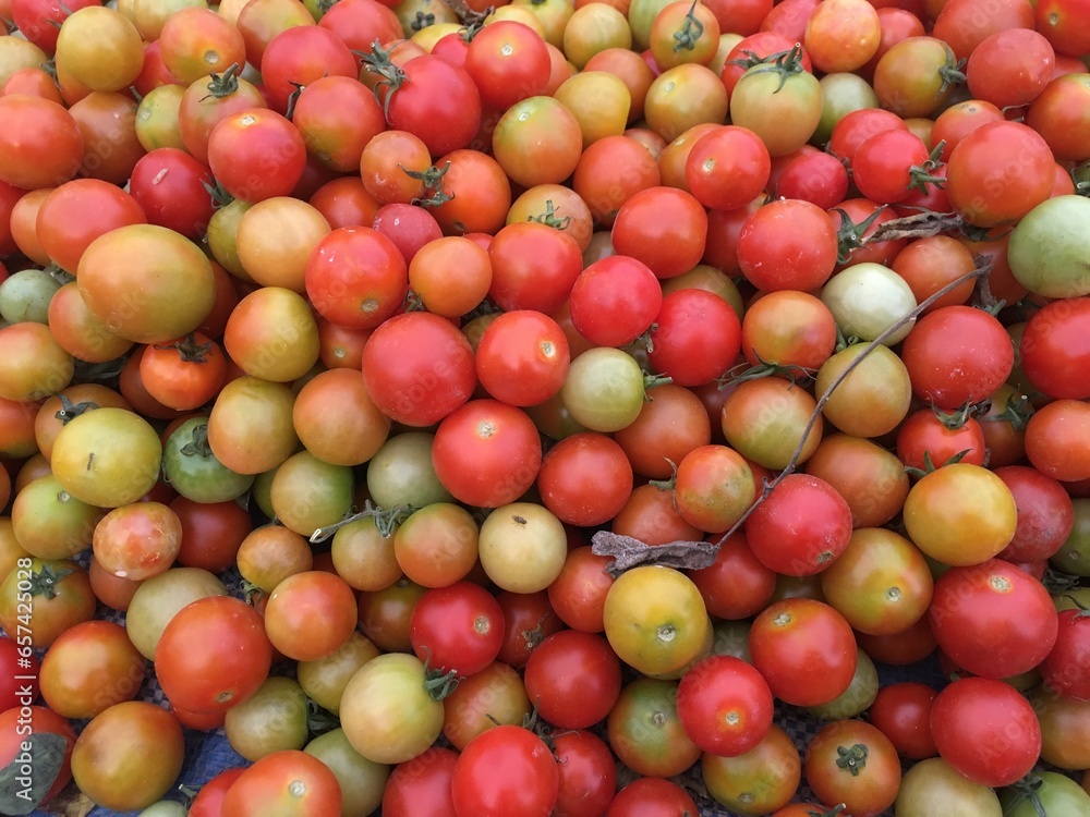 tomato for sale at Street market, Chiang Mai Province, Northern Thailand tomato for sale at Street market, Chiang Mai Province, Northern Thailand