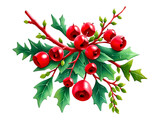 Christmas holly plant branch with red berries on white background, mockup, copy space. Xmas postcard and greetings.