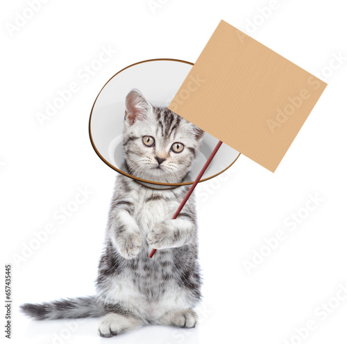Cute tabby kitten wearing protective cone collar showing empty placard. Isolated on white background
