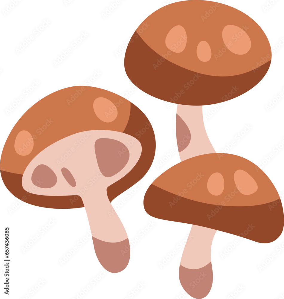 Shiitake mushroom icon illustration