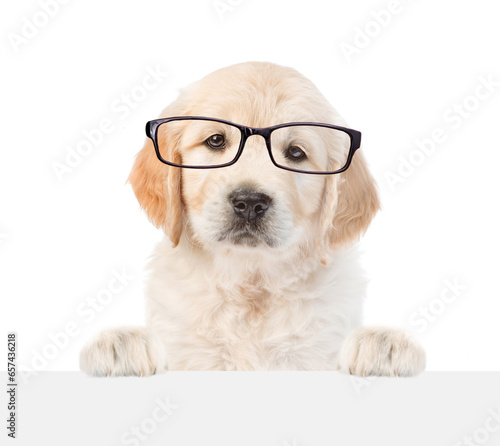 Smart Golden retriver puppy wearing eyeglasses looks above empty white banner. isolated on white background. Empty space for text