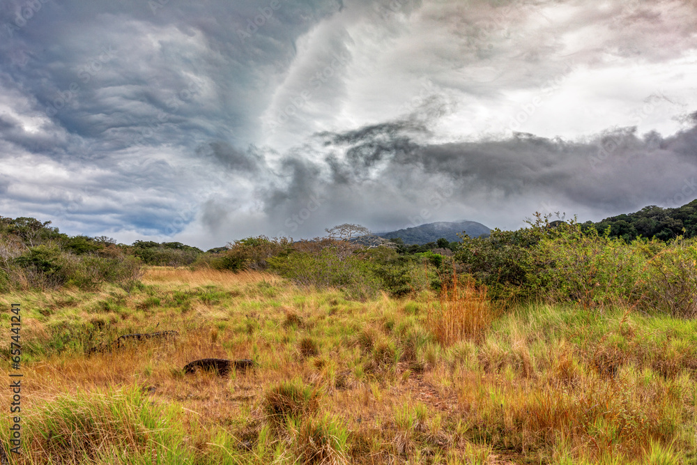 Landscape of the Rincon de La Vieja Volcano and National Park in Guanacaste, Costa Rica