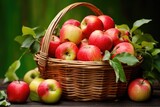 a basket of freshly picked apples with vibrant leaves