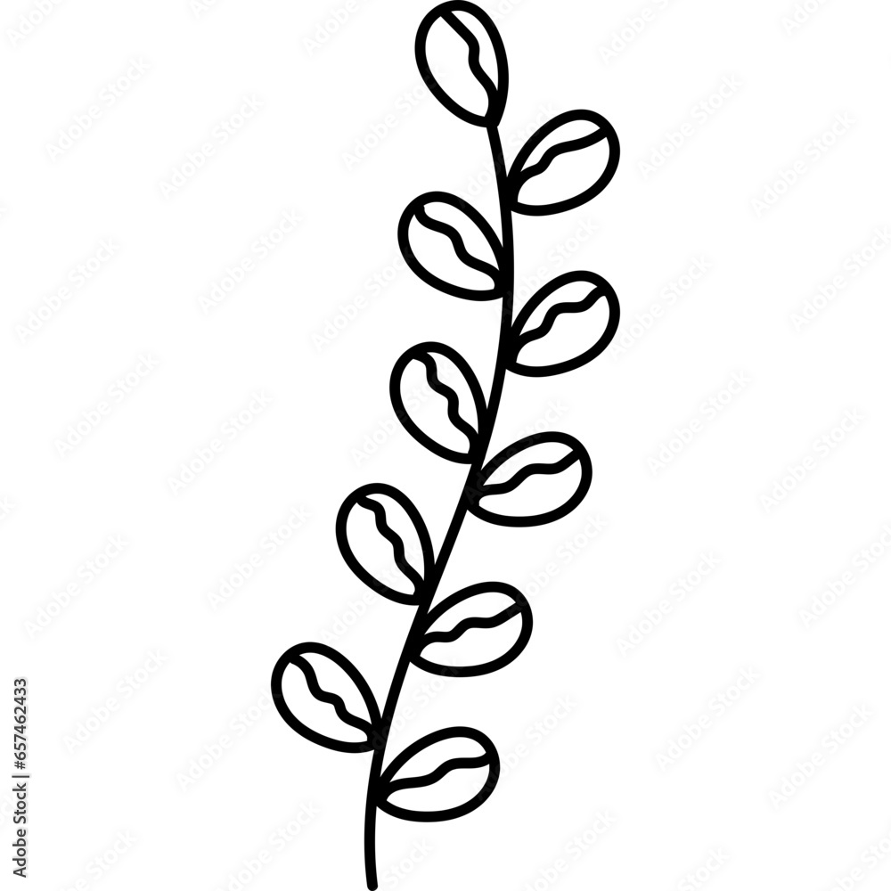 Hand Draw Boho Leaves Hand Draw Boho Leaves