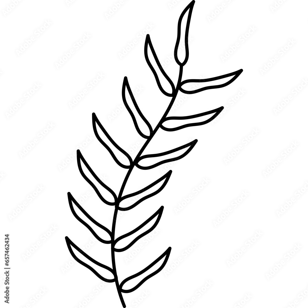 Hand Draw Boho Leaves Hand Draw Boho Leaves