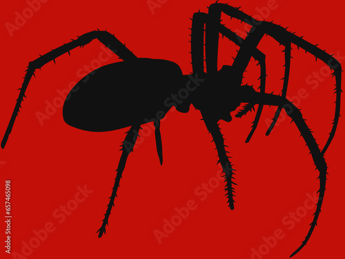 Spider 1 - Red Background