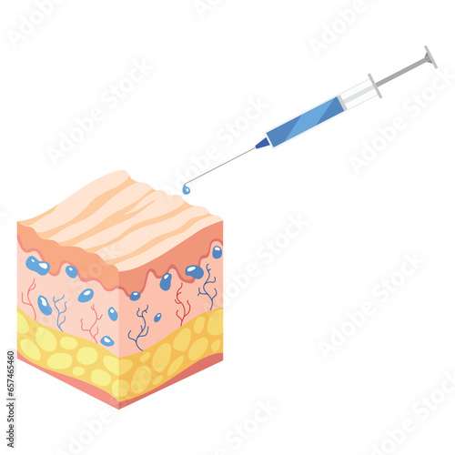 Hyaluronic acid isometric. Profile view cube representing skin structure layers icon. Subcutaneous tissue, dermis and epidermis anatomical structure. Cartoon vector illustration isolated on white