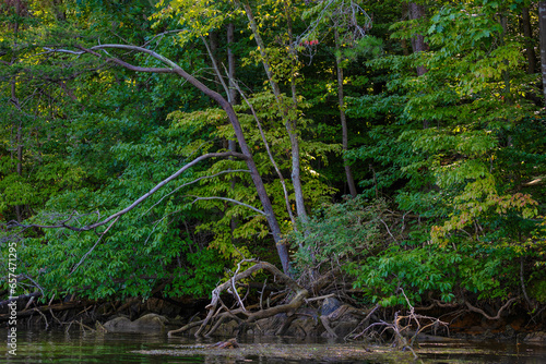 Kayaking Holston River at Warrior State Park  Tennessee  USA