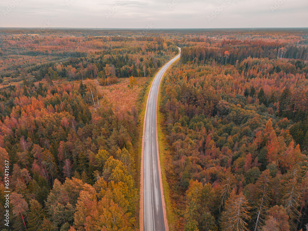 Highway between autumn forest from aerial view. Fall background