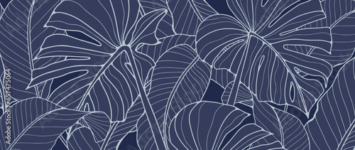 Dark blue tropical background with monstera leaves. Botanical vector background