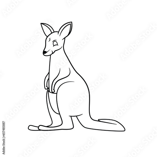 kangaroo illustration