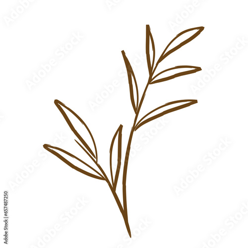 Aesthetic Leave Lineart 
