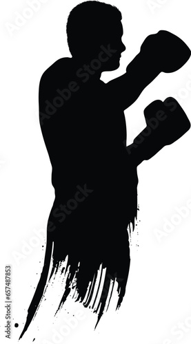 Boxing Silhouette photo