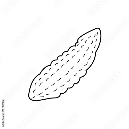 illustration of a bitter ground