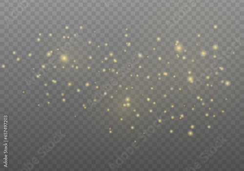 Golden rays with flying dust and glowing particles. Vector sparkles on a transparent background. Sparkling magical dust particles.