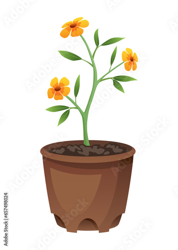 Flower growth stage in brown pot on white background.  illustration phase blooming of small flower