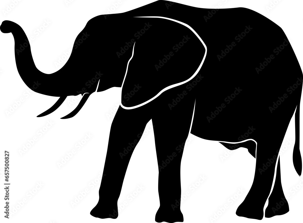 Obraz premium elephant africa silhouette