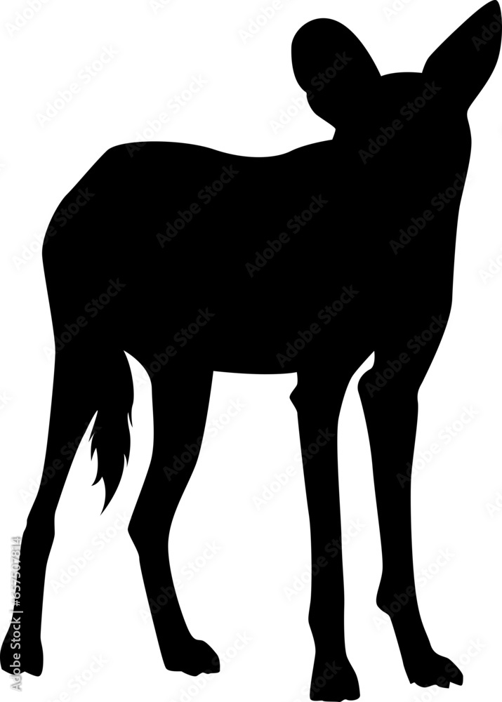 Obraz premium african wild dog