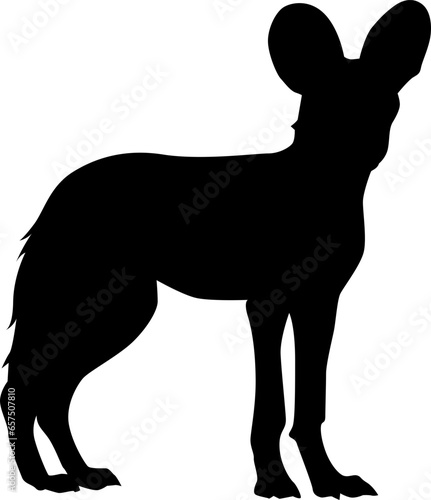 african wild dog