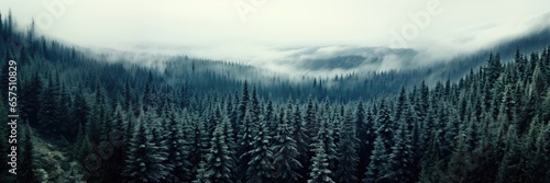 In a wide-format background image tailored for creative content, the morning mist blanketing an endless forest, providing a mesmerizing panoramic view. Photorealistic illustration