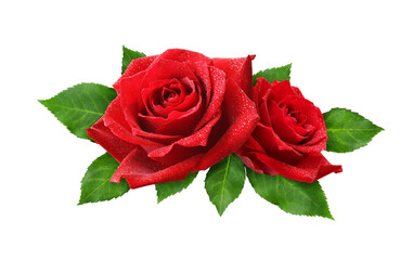 Red rose flowers in a floral arrangement isolated on white or transparent background
