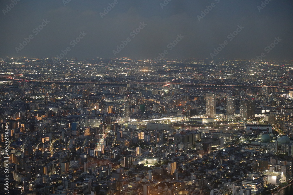 The view from Tokyo sky tree.