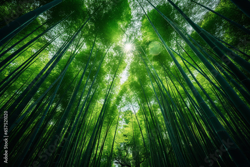 Low Angle Shot of Tall Bamboo Trees in Forest AI Generative